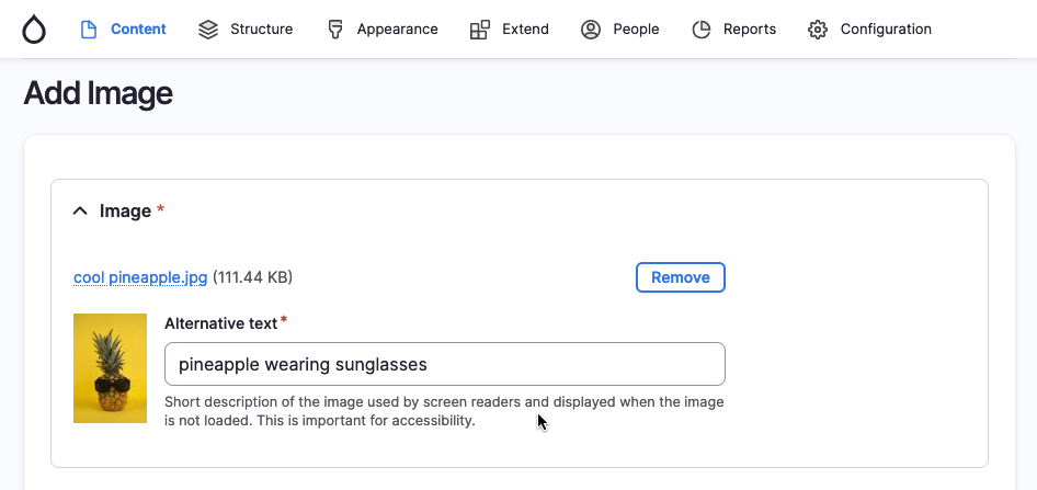 Drupal required alt text field as accessibility check when adding images